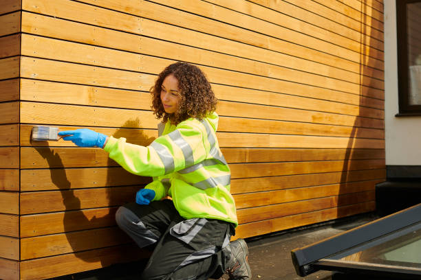 Best Custom Siding Design  in Eunice, NM