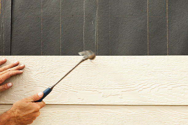 Best Siding for New Construction  in Eunice, NM
